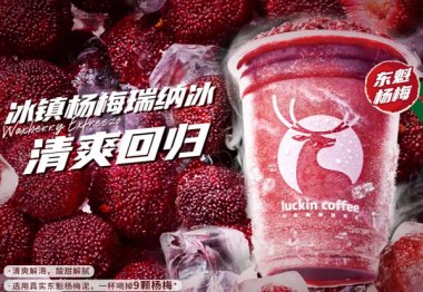 瑞幸咖啡的概要，了解瑞幸咖啡从这里开始
